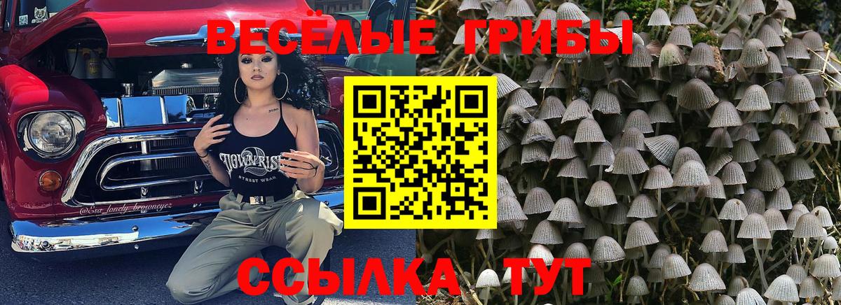 Галлюциногенные грибы MAGIC MUSHROOMS  Псилоцибиновые грибы Cubensis  Копейск  Вход с VPN 