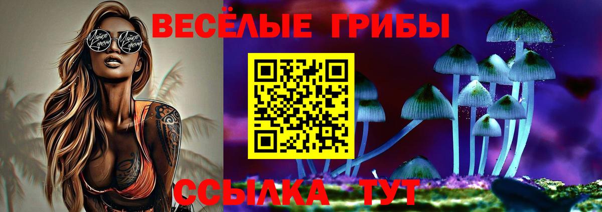 Псилоцибиновые грибы Psilocybe Копейск